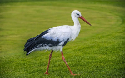 TURNIEJ PRIMAAPRYLISOWY :) :)