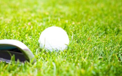 Otwieramy pole na weekend !!! :)